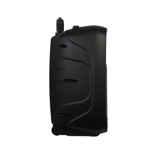 Fonestar MALIBU-310 Портативная АС, 100 Вт., 10", MP3, Bluetooth, радиомикрофон