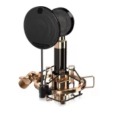 Icon Aurora Студийный конденсаторный микрофон