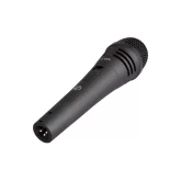 Icon D2 Динамический гиперкардиоидный микрофон