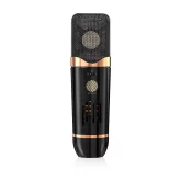 Icon Space 67 Студийный ламповый микрофон