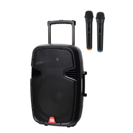 Leem PR-15HR Портативная АС, 100 Вт., 15", MP3, Bluetooth, 2 радиомикрофона