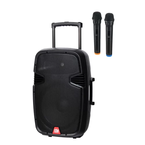 Leem PR-15HR Портативная АС, 100 Вт., 15", MP3, Bluetooth, 2 радиомикрофона