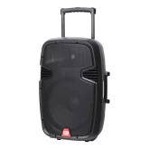 Leem PR-15HR Портативная АС, 100 Вт., 15", MP3, Bluetooth, 2 радиомикрофона