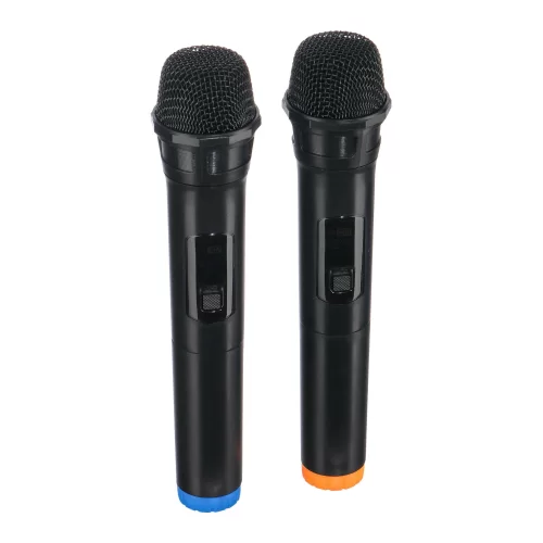 Leem PR-15HR Портативная АС, 100 Вт., 15", MP3, Bluetooth, 2 радиомикрофона