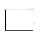 Lumien Eco Control LEC-100109 Экран с электроприводом