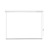 Lumien Eco Control LEC-100109 Экран с электроприводом