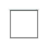 Lumien Eco Picture LEP-100118 Настенный экран