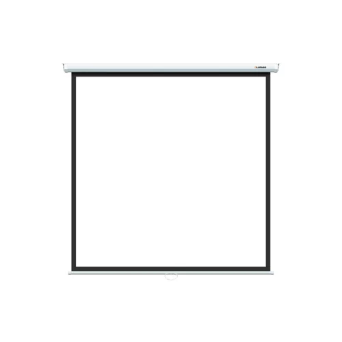 Lumien Eco Picture LEP-100118 Настенный экран