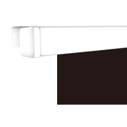 Lumien Master Picture CSR LMP-100105CSR Настенный экран c ручным управлением