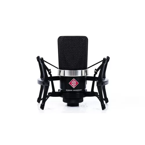 Neumann TLM 102 mt studio set  Студийный конденсаторный микрофон