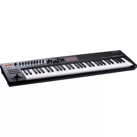 Roland A-800PRO MIDI клавиатура, 61 клавиша