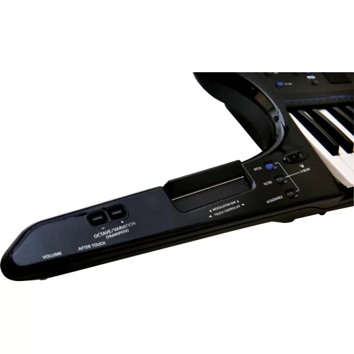 Roland AX-Synth BK Синтезатор