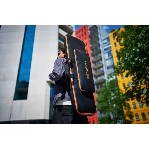 Roland CB-V61 Чехол для синтезатора на 61 клавишу