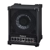 Roland CM-30 Активный монитор, 30 Вт., 6,5"