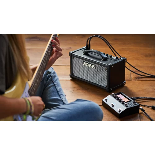 Roland Dual Cube LX Автономный гитарный комбоусилитель, 10 Вт., 2х4"