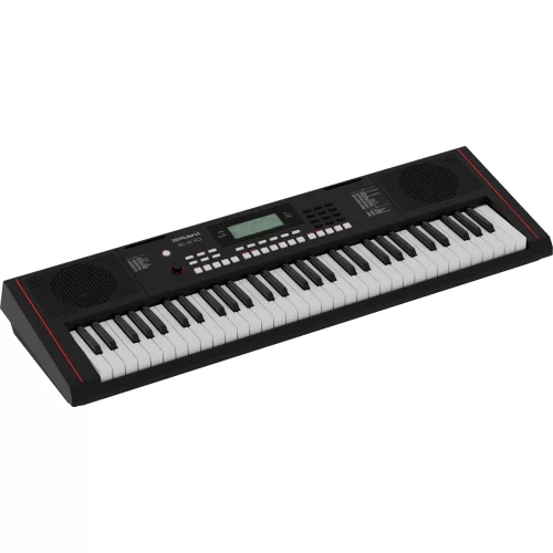 Roland E-X10 Синтезатор с автоаккомпанементом