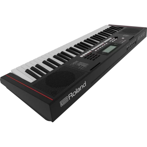 Roland E-X10 Синтезатор с автоаккомпанементом