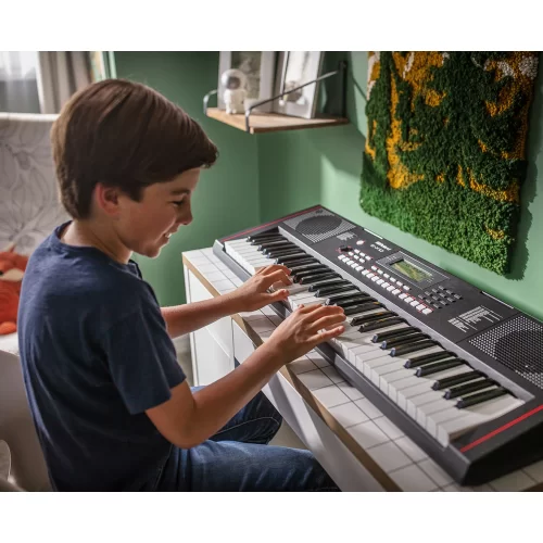 Roland E-X10 Синтезатор с автоаккомпанементом