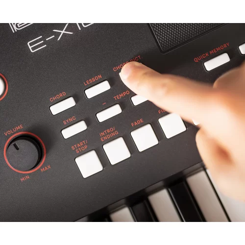 Roland E-X10 Синтезатор с автоаккомпанементом