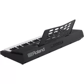Roland E-X20 Синтезатор с автоаккомпанементом