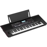 Roland E-X50 Синтезатор с автоаккомпанементом