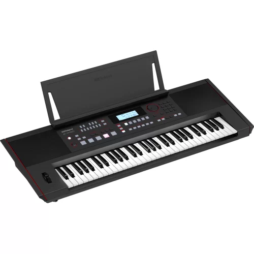 Roland E-X50 Синтезатор с автоаккомпанементом