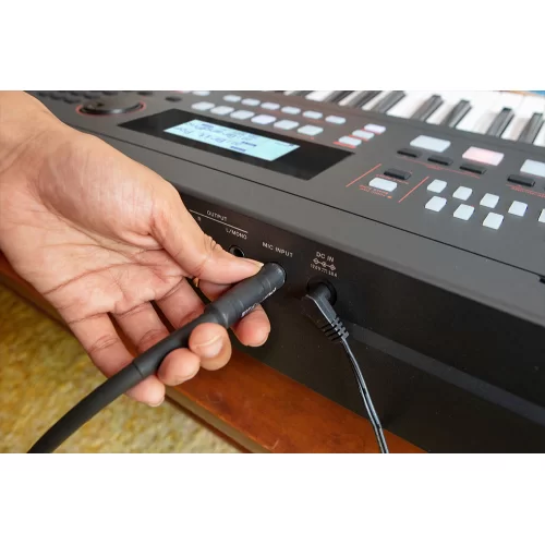 Roland E-X50 Синтезатор с автоаккомпанементом