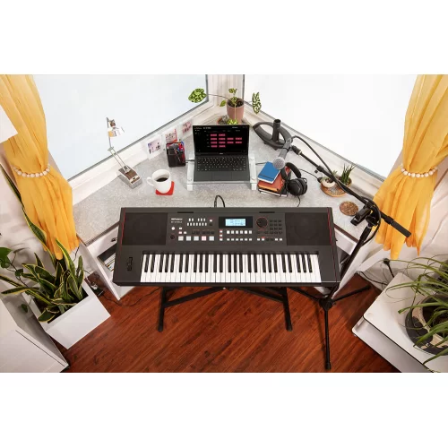 Roland E-X50 Синтезатор с автоаккомпанементом