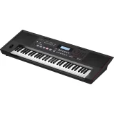 Roland E-X50 Синтезатор с автоаккомпанементом