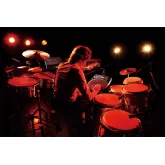 Roland HPD-20 Перкуссионный модуль