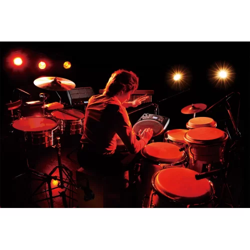 Roland HPD-20 Перкуссионный модуль