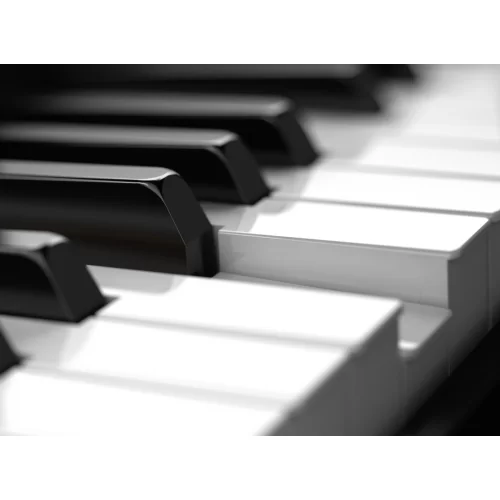Roland Juno-DS88 Синтезатор