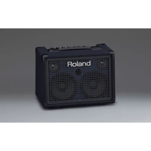 Roland KC-220 Клавишный портативный комбо-усилитель, 30 Вт., 2x6,5"