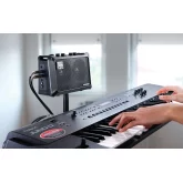 Roland MOBILE CUBE Комбоусилитель, 5 Вт., 2x4"