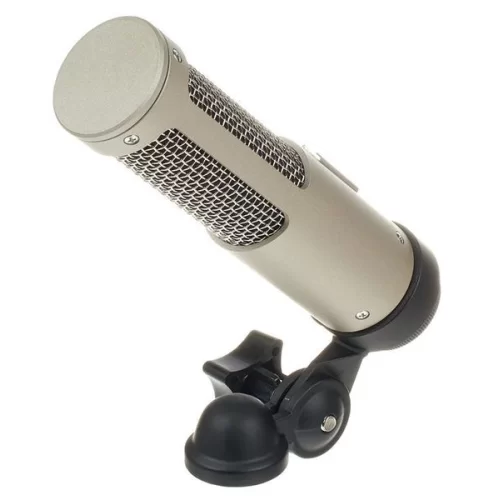 Royer Labs R-10 Студийный ленточный микрофон