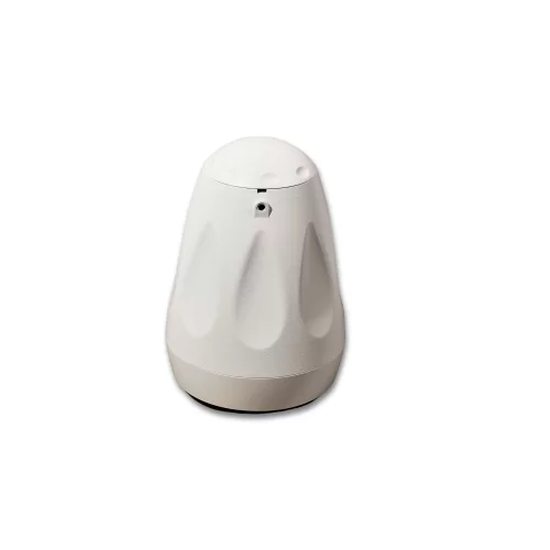 SVS Audiotechnik BWS-60W Подвесная АС, 5/10/20/40 Вт., 70/100 В, 6", IP65