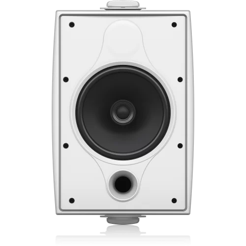 Tannoy DVS 6T-WH Всепогодная АС, IP64, 6"+0.75", 60 /120 /240 Вт.
