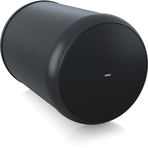 Tannoy OCV 6 Подвесной громкоговоритель, 60/120 Вт., 6"