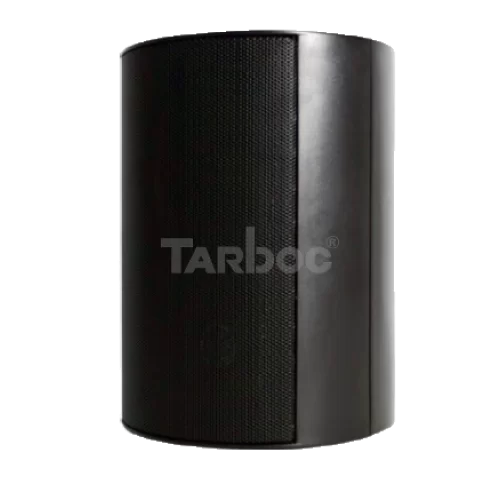 Tarboc KD-737 Настенная АС, 30 Вт., 70/100 В, 5"+2,5"