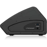 Turbosound TFM152M Пассивный сценический монитор, 700 Вт., 15"