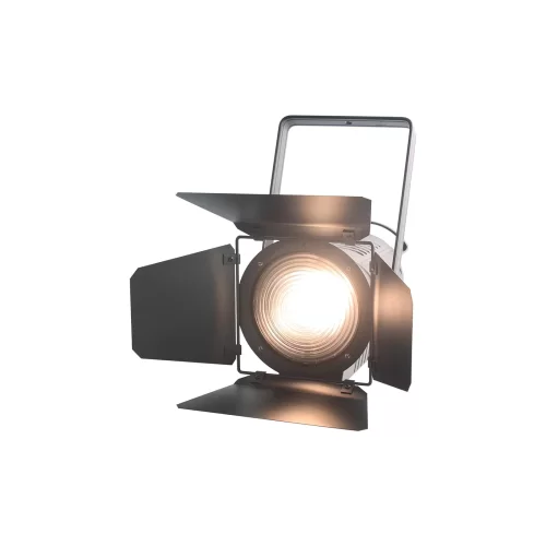 V-Show FSP300 Театральный прожектор с линзой Френеля, 300 Вт., CW+WW