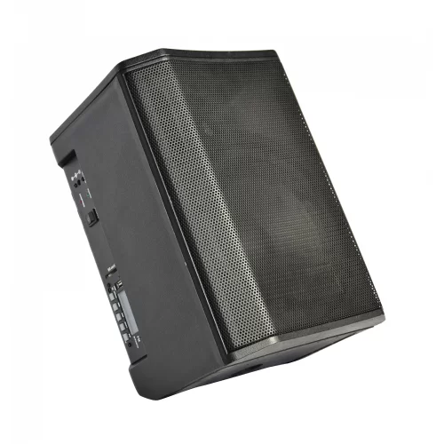 XLine NPS-8A Портативная АС, 30 Вт., 8"