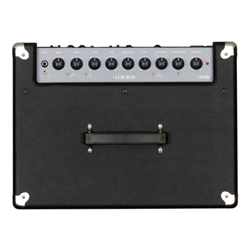 Blackstar Unity 250 Басовый комбо, 250 Вт., 15"