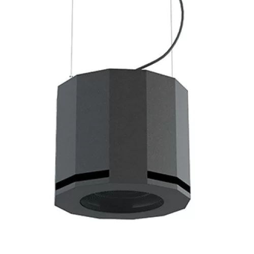 CVGaudio SUBone model D-6BL/CR Подвесной сабвуфер, 80W - 4 Ом, 6,5"