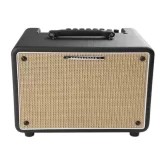 Ibanez T30II Troubadour Комбоусилитель для акустической гитары, 30 Вт., 8"