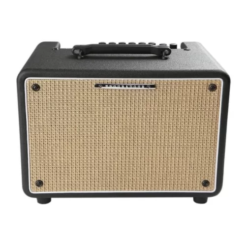 Ibanez T30II Troubadour Комбоусилитель для акустической гитары, 30 Вт., 8"