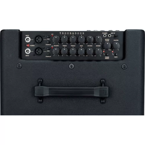 Ibanez T30II Troubadour Комбоусилитель для акустической гитары, 30 Вт., 8"