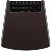 Ibanez T80II Troubadour Комбоусилитель для акустической гитары, 80 Вт., 10"