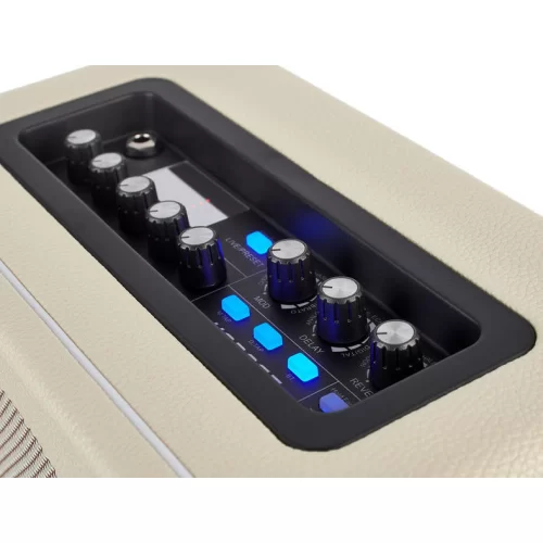 Mooer DH02 Hornet 15WH Гитарный комбоусилитель, 15 Вт., 6,5"