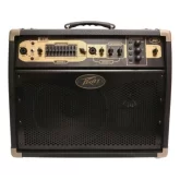 Peavey Ecoustic E110 Комбоусилитель для акустической гитары, 100 Вт., 10"
